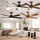 Ceiling Fans