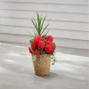 Vigoro 12.5 in. Agnes Medium Brown Lampakanay Seagrass Basket Planter (12.5 in. D x 13.8 in. H) with attached liner
