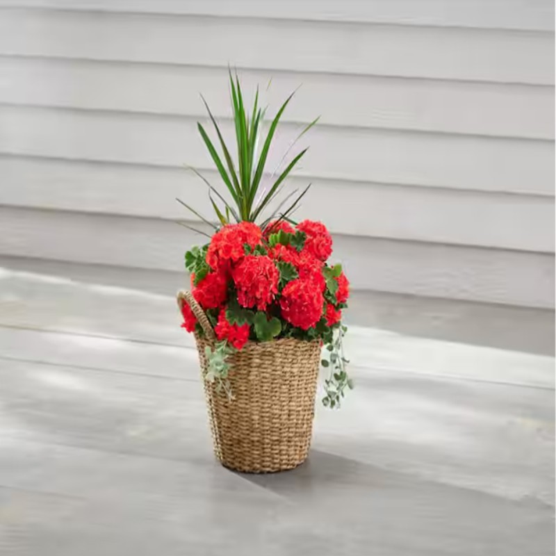 Vigoro 12.5 in. Agnes Medium Brown Lampakanay Seagrass Basket Planter (12.5 in. D x 13.8 in. H) with attached liner