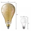 Philips 40Watt Equivalent A50 Dimmable Vintage Glass Edison 2000K LED Large Bulb